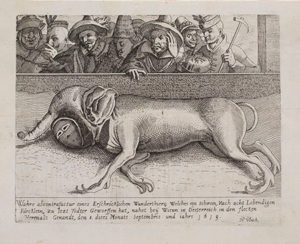 Engraving of a monstrous stillborn piglet