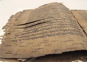 A birch-bark manuscript in preservation