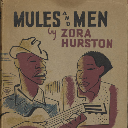 Cover of book titled Mules and Men