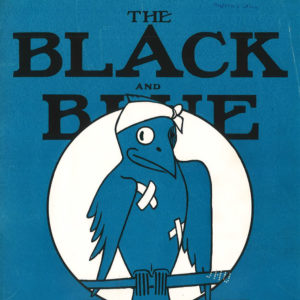 Cover of book titled Black and Blue Jay