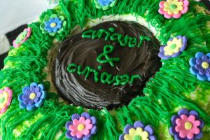 Edible book cake