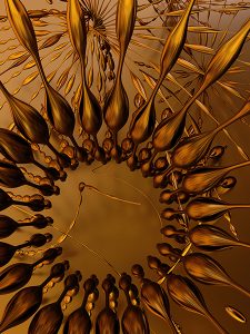 chris sloan gold rings