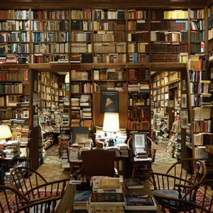 professor richard macksey's former library in baltimore