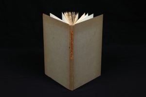 book standing upright with covers open