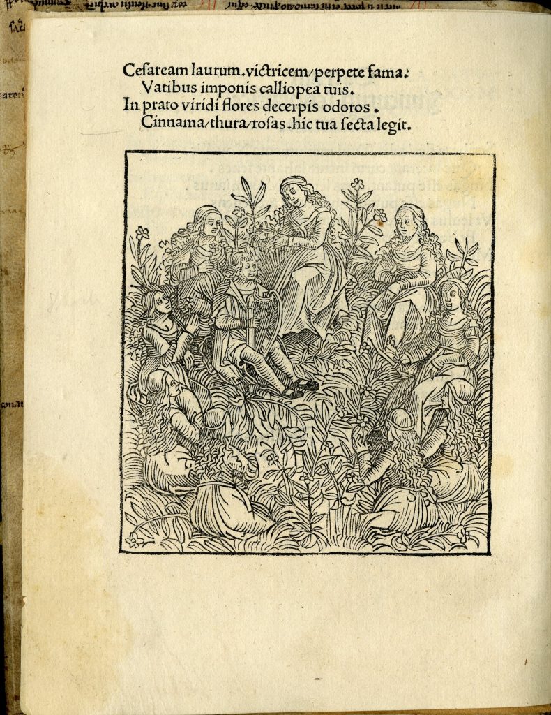 An ultra-rare satirical manuscript.