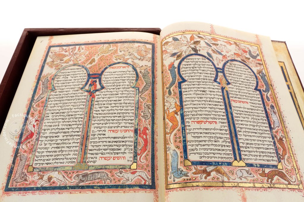 open view of illustrated manuscript