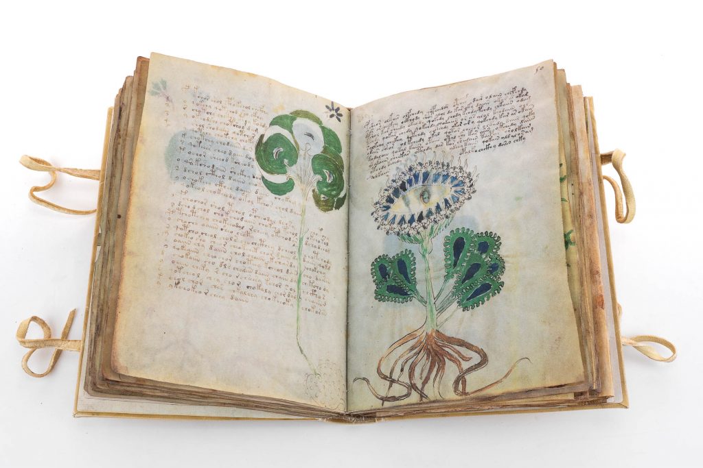 Manuscript with an unknown language.