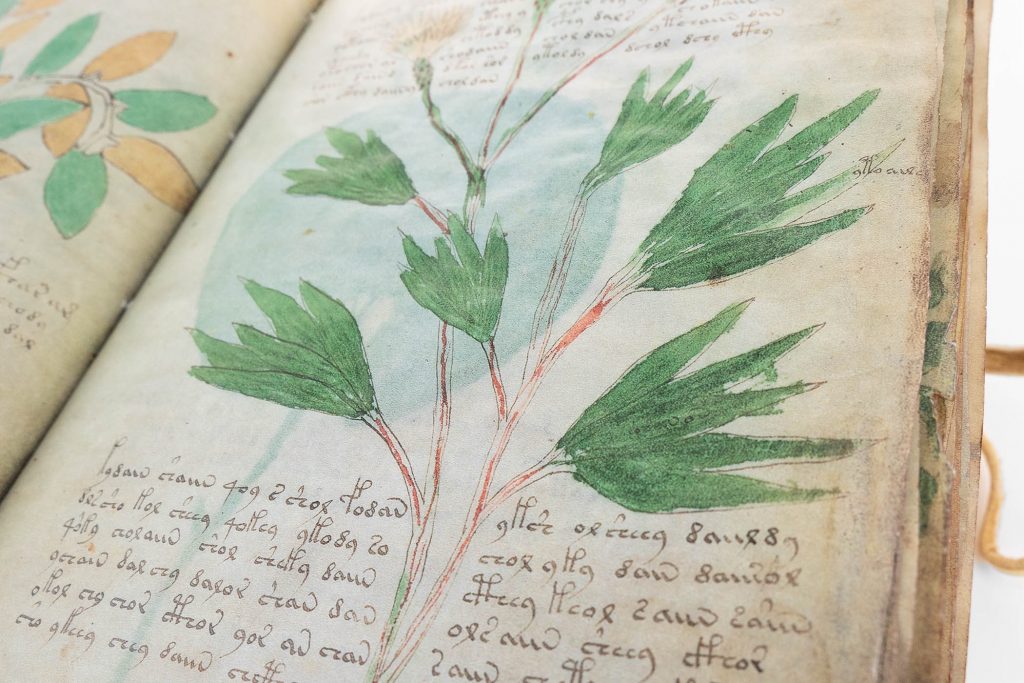 Manuscript with an unknown language.